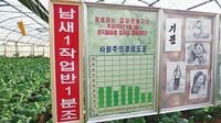 現地ルポ 食糧増産に注力する北朝鮮農業の現場