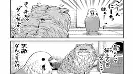 小鳥が脱走して｢強面の猫｣に会いに行ったワケ