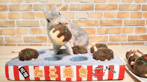 うさぎ用の知育玩具