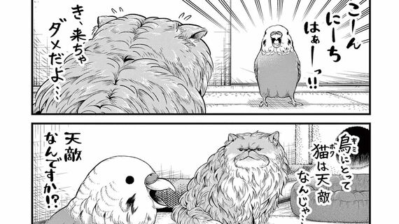 ニャーゴとピュロロロ