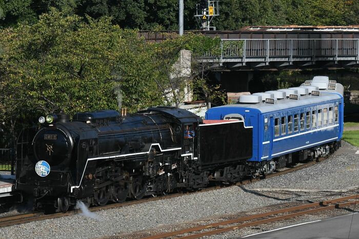 「ニセコ」のヘッドマークを付けたC62形による