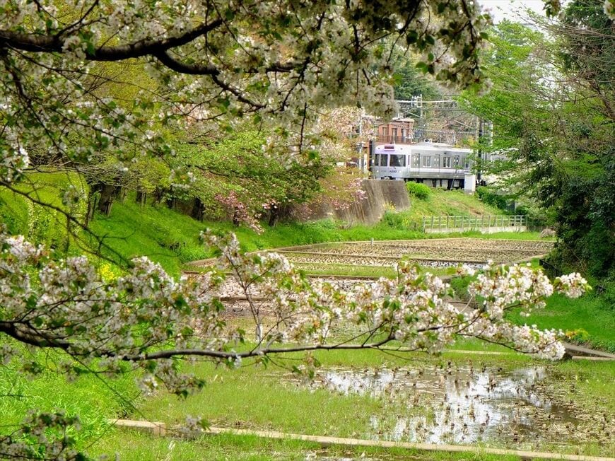 早春の駒場東大前駅付近「ケルネル田んぼ」。ここは四季折々の景色を楽しめる名所だ（撮影：南正時）
