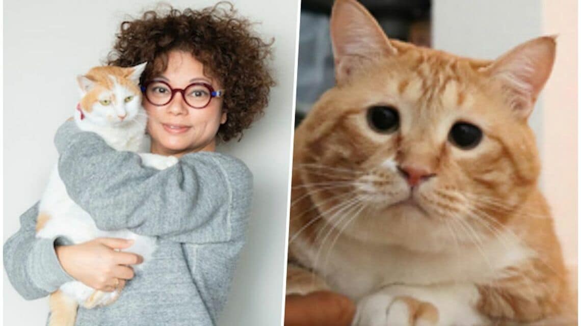 今、猫を飼っている人の間で話題になっている、猫沢エミさんが上梓したエッセイ本『ねこしき』。猫沢さんと同じく、保護猫「ぐっぴー」の飼い主であるさきともが、「猫」をキーワードに話をうかがいました（写真：Domani）