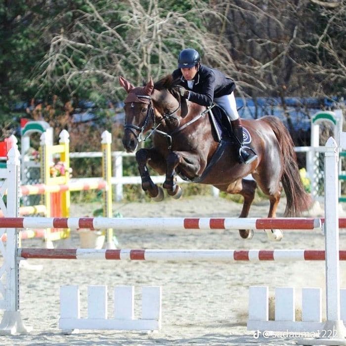 馬術大会の時の様子
