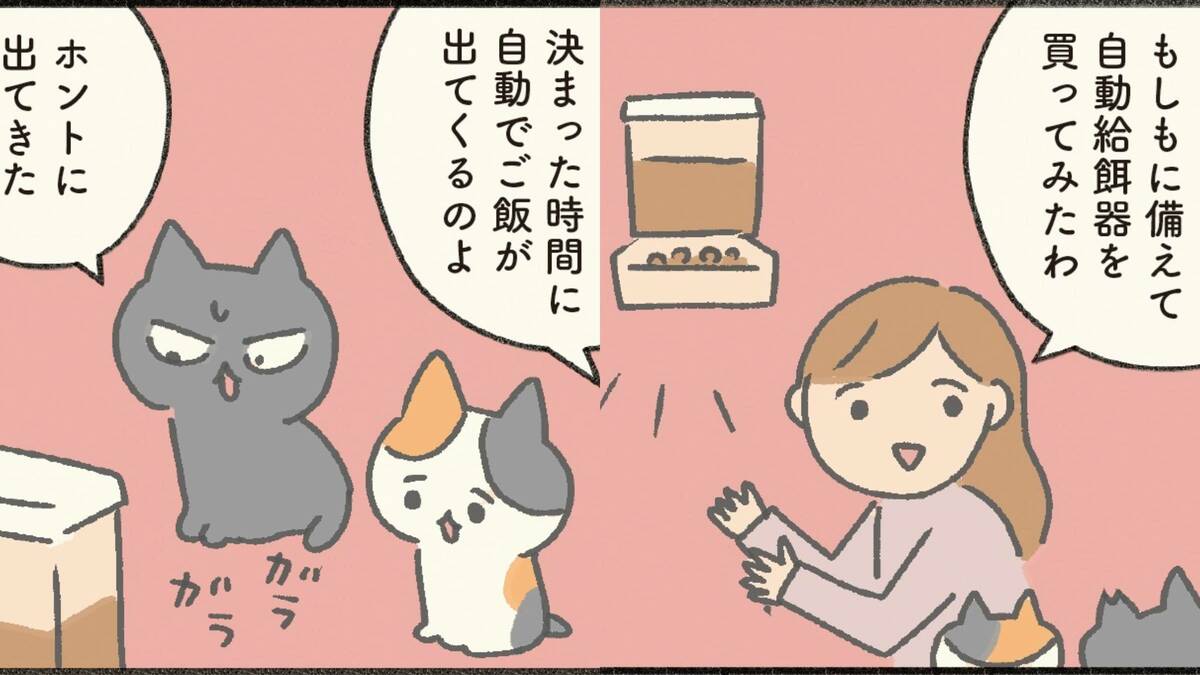 ｢飼い主が倒れたら…｣猫を守るための賢い備え方 自動給餌器を用意するよりも大切なことは？ | 漫画 | 東洋経済オンライン