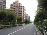 豊洲付近の特別区道江257号。新線はこの地下を通る（記者撮影）