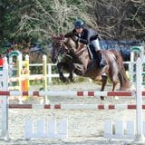 馬術大会の時の様子