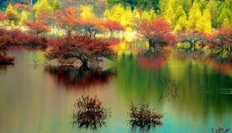 Entice the Senses with Nikko's Spectacular Autumn Colors