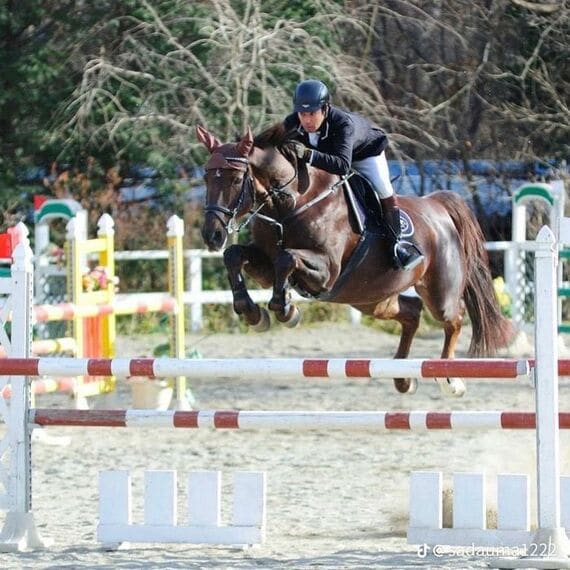 馬術大会の時の様子