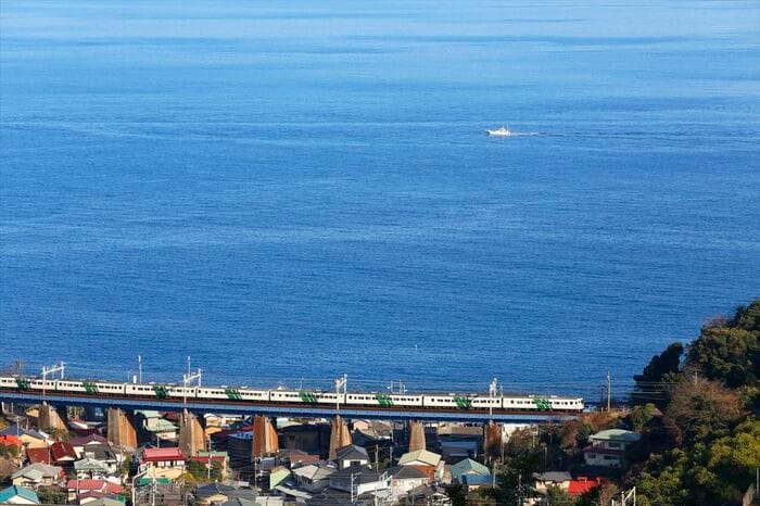 相模湾をバックに走る185系