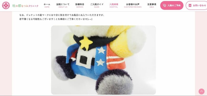ぬいぐるみの入浴＝クリーニングにあたり、元々のプリントが薄くなってしまう可能性があるというリスクも丁寧に説明してもらえる（画像：杜の都なつみクリニック公式サイト）