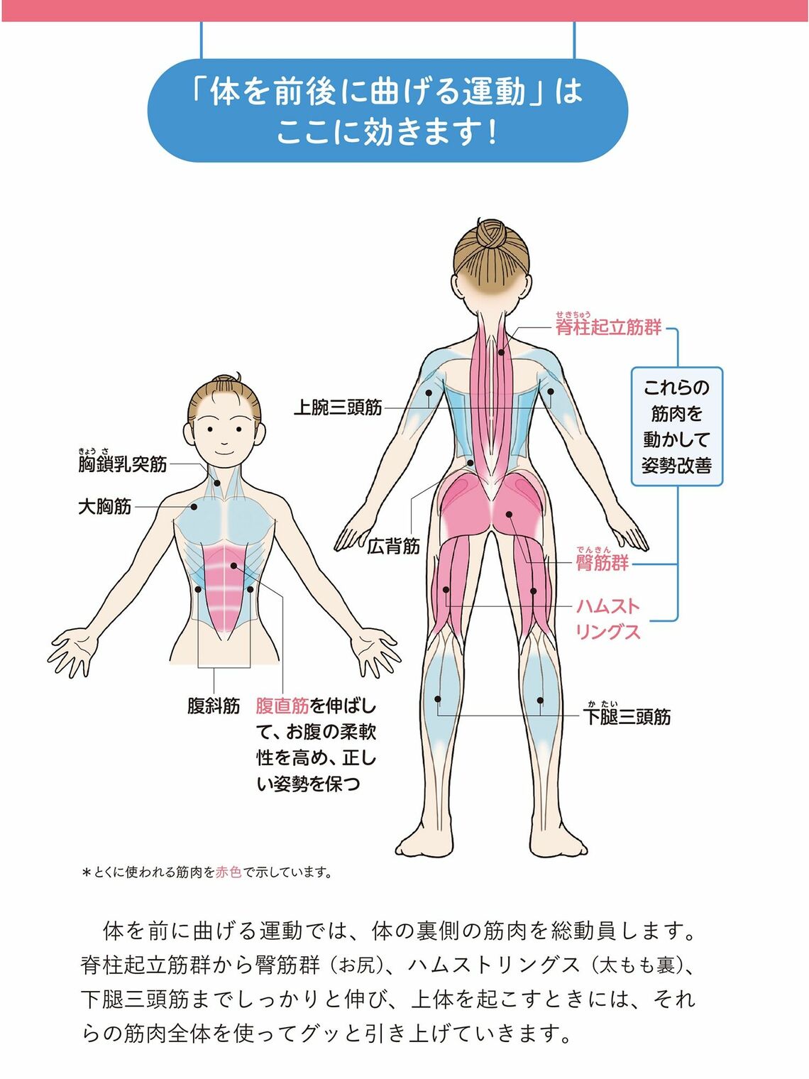 ラジオ体操の新常識