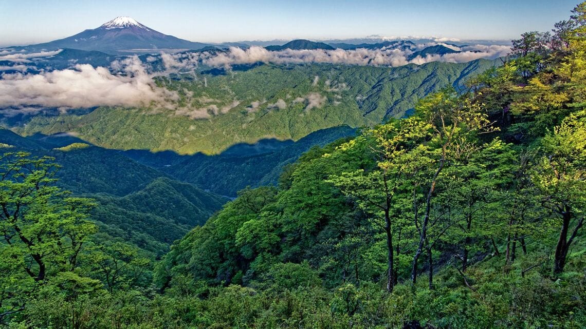 「身近なのに恐ろしい遭難」の実話をご紹介します（写真：NISH／PIXTA）