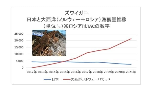 ズワイガニ漁獲量推移（出所）農水省・ノルウェー漁業省・ロシア連邦農業省データを基に筆者作成