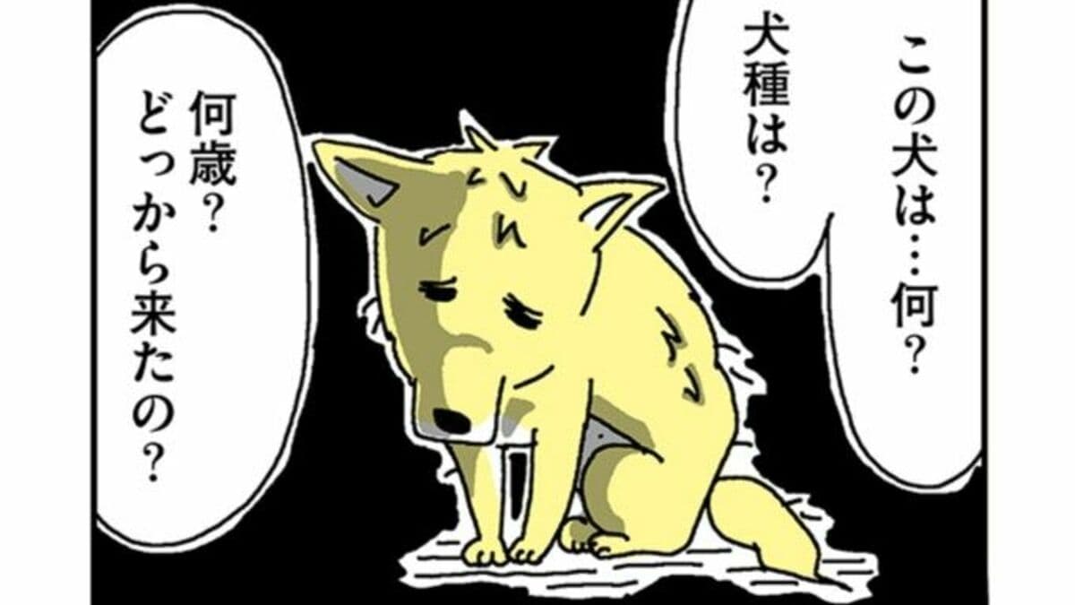 『姉の犬から目が離せない』第1話公開　保護犬との交流描くコミックエッセイ