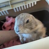 （写真：まる子さん提供）
