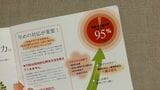 「就職・自立成功率 6ケ月までに95％」などと書かれたあけぼのばしのパンフレット。長年、孤独や社会の偏見に悩み続けた、ひきこもりの子どもを持つ親はこうしたうたい文句にいちるの望みを託す（筆者撮影）