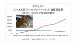 ズワイガニ漁獲量推移（出所）農水省・ノルウェー漁業省・ロシア連邦農業省データを基に筆者作成