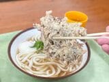 ごぼう天うどんも人気。ボリューム満点！（写真：筆者撮影）