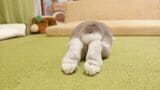 （写真：やすさん提供）