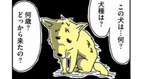 しょぼくれた見た目だが…｢姉が引き取った"ワケあり犬"｣にこうも心惹かれるワケ　漫画『姉の犬から目が離せない』第1話