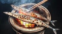 解毒､造血､粘膜強化！旬のサンマの潜在力