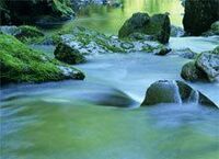 《プロに聞く！人事労務Q＆A》二重就業規則に違反した社員への対応について教えて下さい。