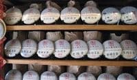 中国で盛り上がる「プーアル茶バブル」