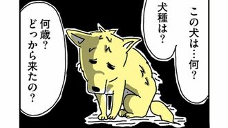 『姉の犬から目が離せない』