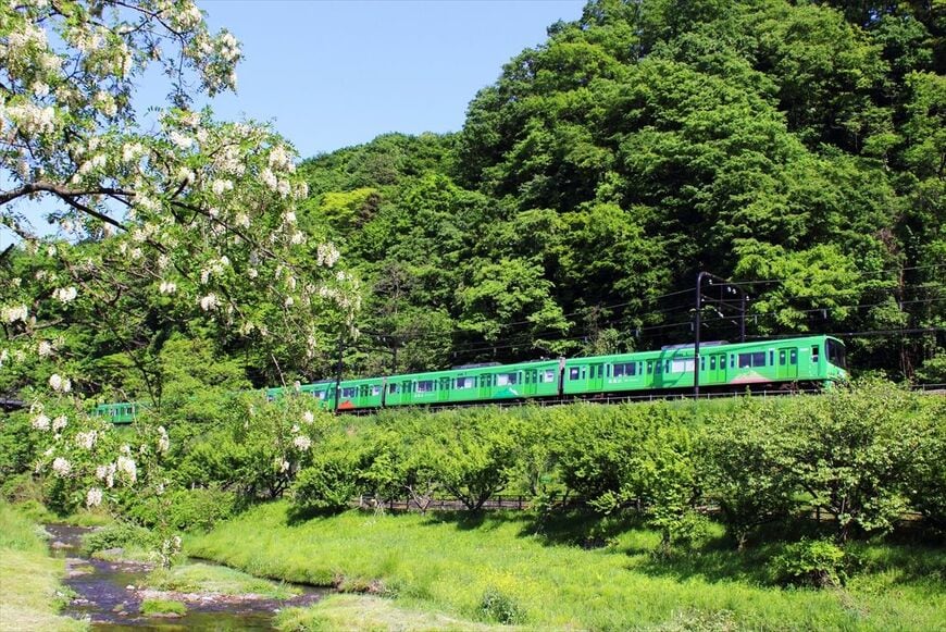 初夏の高尾線を行く8000系「高尾山トレイン」（撮影：南正時）