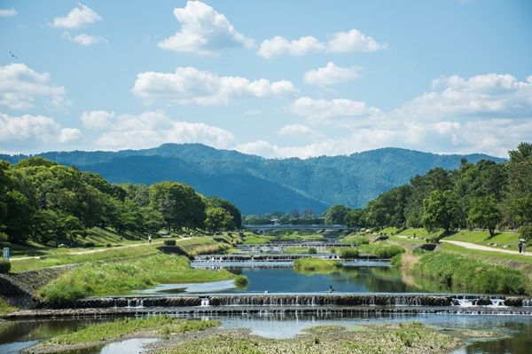 光る君へ 大河ドラマ