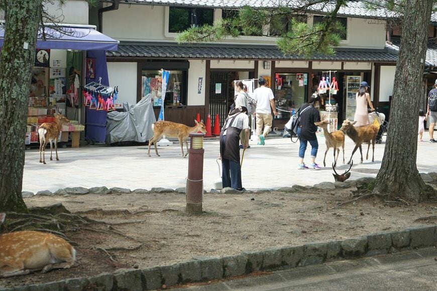 多くの観光客が行き交う東大寺への参道の様子