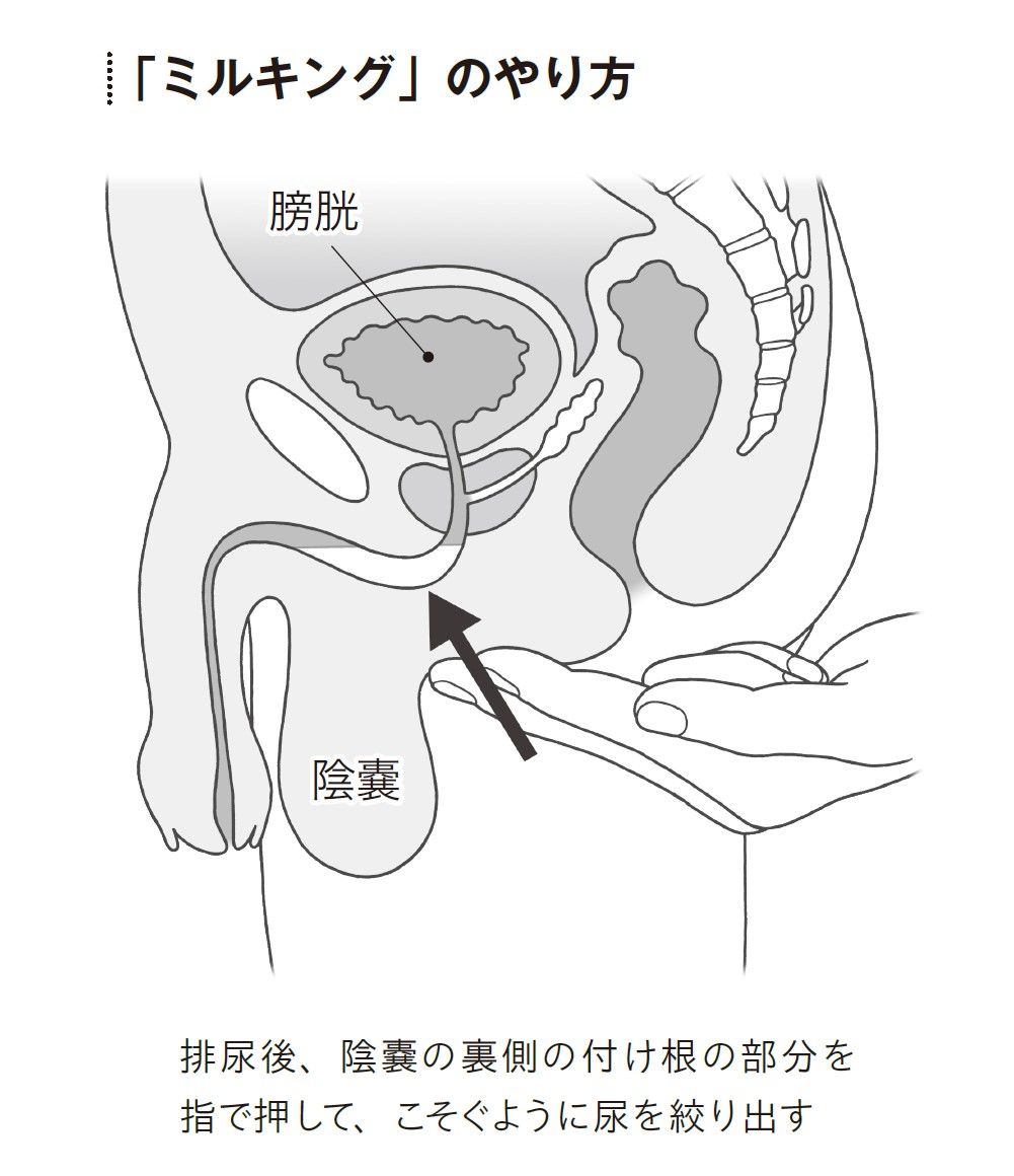 （出所：『頻尿・尿もれ自力でできるリセット法』より）