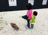 （写真提供：ゲンさん）