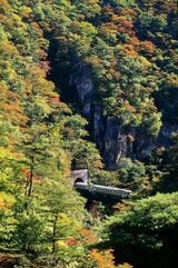 陸羽東線の鳴子峡を行く列車（撮影：南正時）