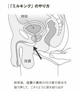 （出所：『頻尿・尿もれ自力でできるリセット法』より）