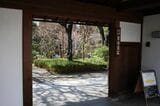 落ち着いた日本庭園を再現した豊島区立目白庭園（筆者撮影）