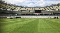 延期中｢競技場の芝生｣はどう管理しているか スポーツターフの第一人者が実践すること