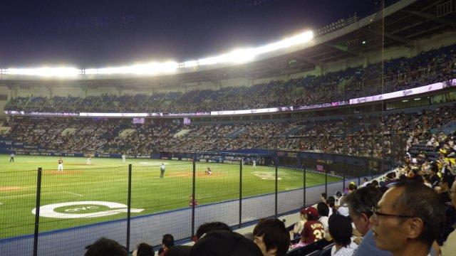 11列目からの景観(ホーム方向）