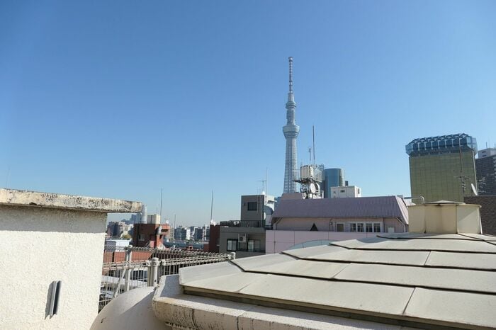 屋根越しにスカイツリーを望む