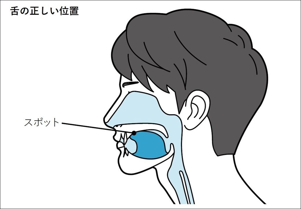 口呼吸 続ける人が知らない超ヤバすぎる弊害 健康 東洋経済オンライン 社会をよくする経済ニュース