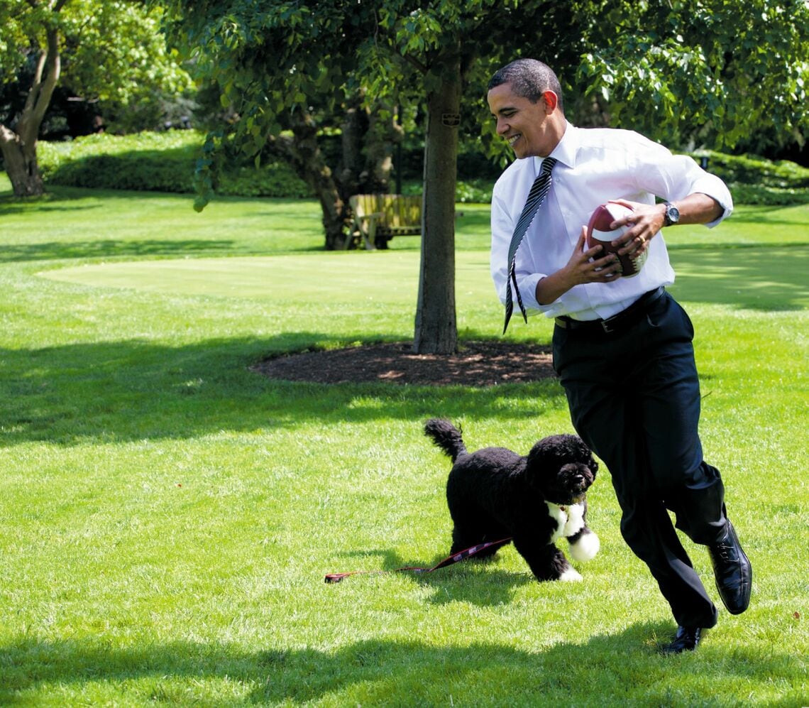 芝生でたわむれるバラク・オバマ大統領とボー。2009年、ワシントンDCのホワイトハウスにて(写真:Courtesy Barack Obama Presidential Library)