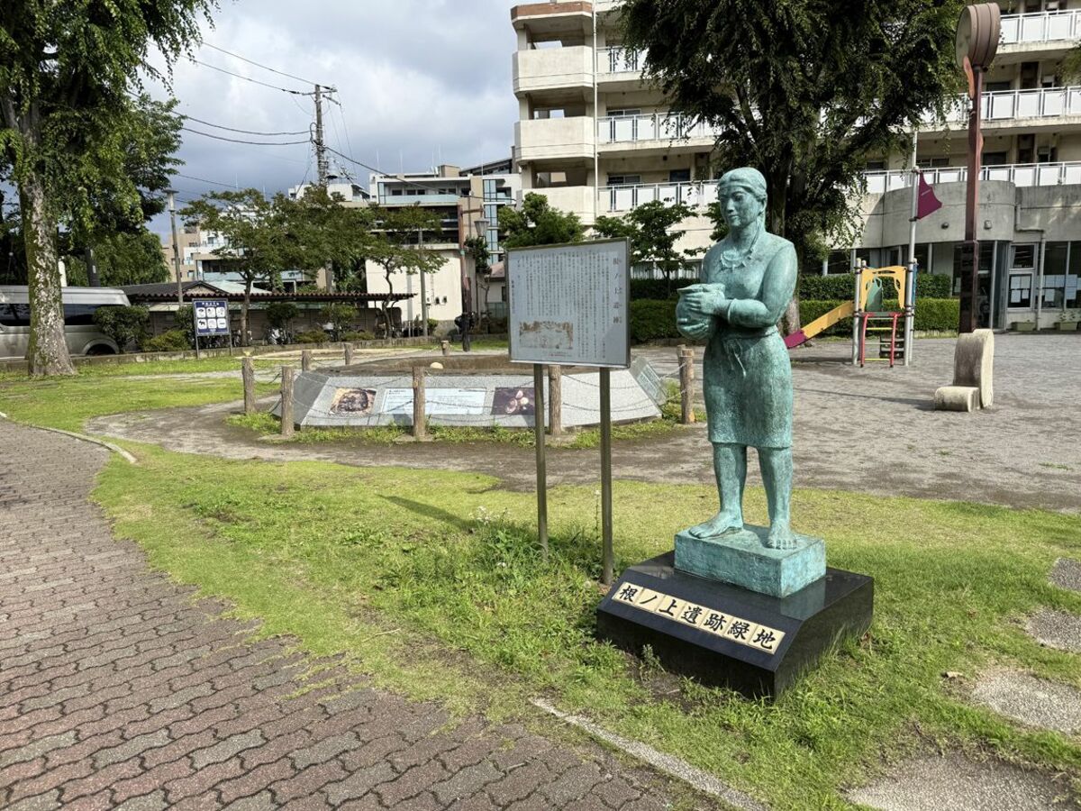小竹向原は再開発されない？3路線利用可能な住み心地抜群の街の実態