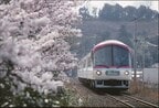 山陰線を走る「エーデル鳥取」
