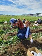 収穫した野菜や米はオリジナルブランドとして販売