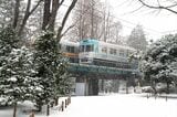 冬、雪景色の井の頭公園内ですれ違う電車（撮影：南正時）