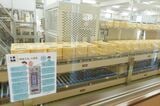 見学ルートは展示スペースから併設する加工工場に続き、ガラス越しに見学が可能（筆者撮影）