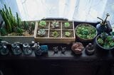 通勤時間が減り、陶芸教室に通い始めた。陶芸作品の人形と収集した多肉植物を飾って（写真撮影／相馬ミナ）