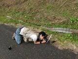 野外調査中の福田さん