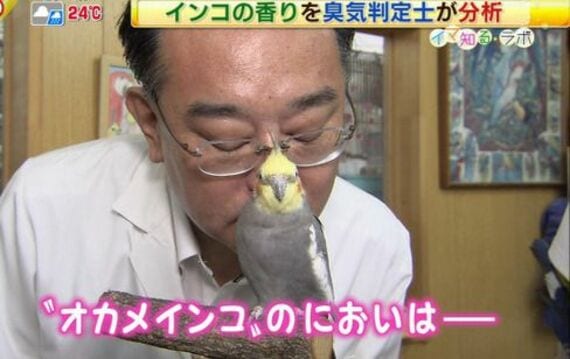 インコのにおいを嗅ぐ石川さん